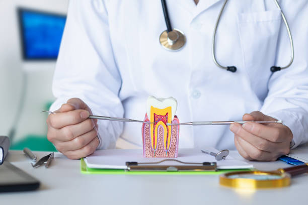 Best Emergency Treatment for Dental Infections or Abscesses in Bentonville, AR
